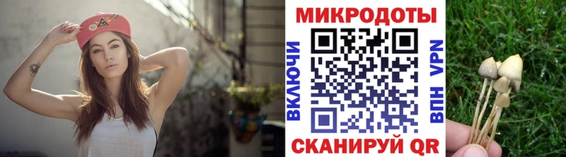 Галлюциногенные грибы Magic Shrooms  Полесск 